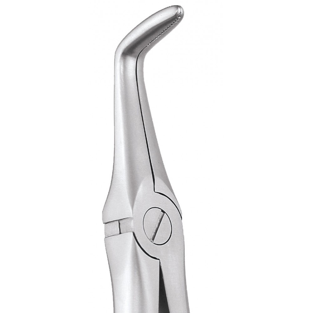 Buy Extraction Forceps Secure Lower Roots Sfx845 Gdc Online